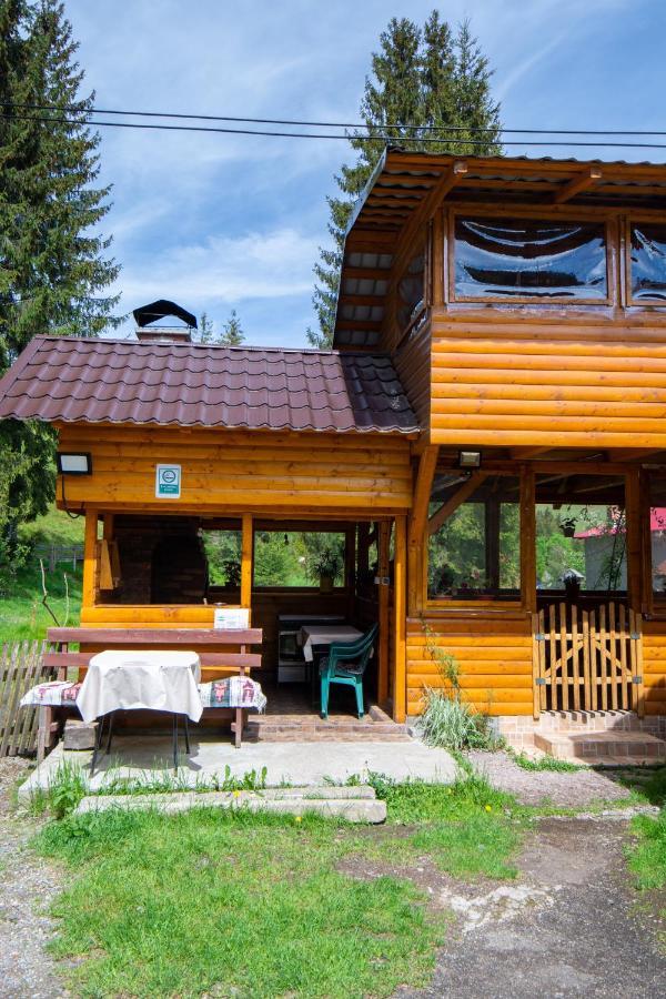 Pensiunea Viorica Arieşeni Exterior foto
