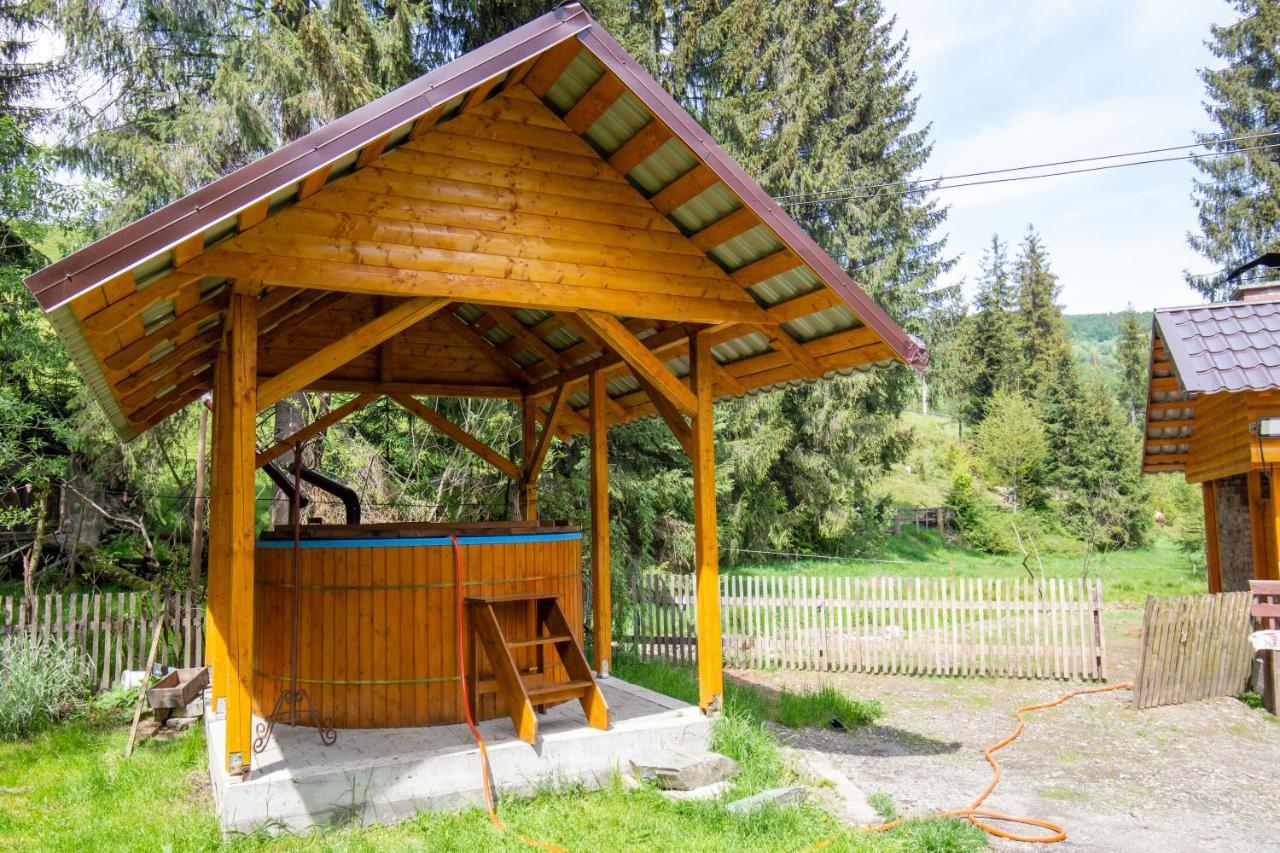 Pensiunea Viorica Arieşeni Exterior foto