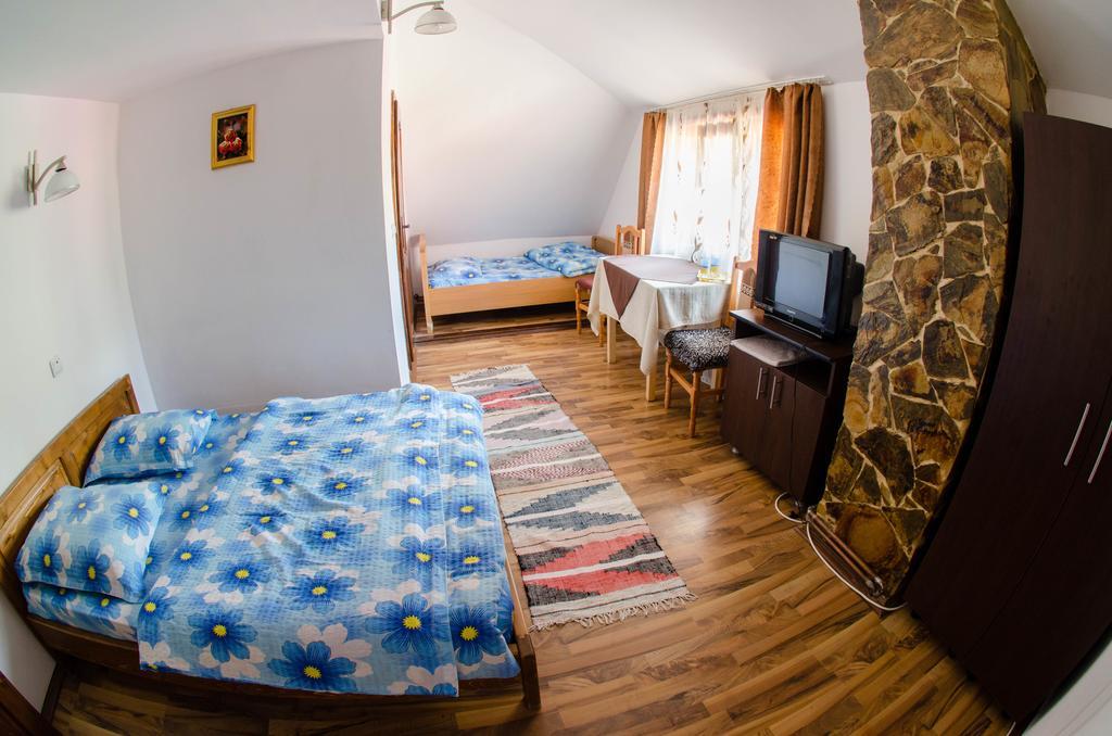 Pensiunea Viorica Arieşeni Exterior foto